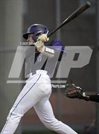 Photo from the gallery "Chantilly @ James Madison"