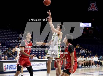 Thumbnail 1 in Bisbee vs Santa Rita (McKale Center) photogallery.