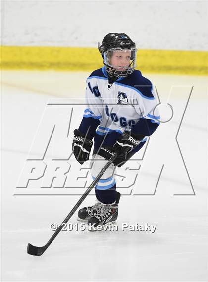 Thumbnail 1 in Rockville/Bolton/Coventry @ Smith/Tolland/Windham photogallery.