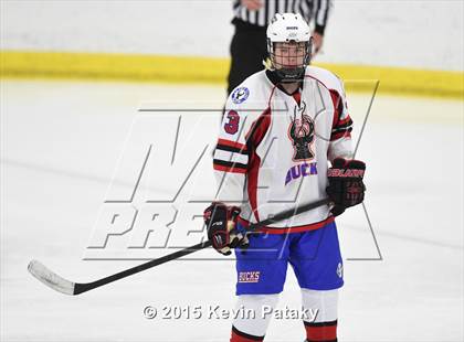 Thumbnail 1 in Rockville/Bolton/Coventry @ Smith/Tolland/Windham photogallery.