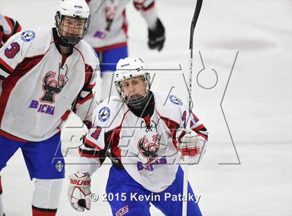 Thumbnail 2 in Rockville/Bolton/Coventry @ Smith/Tolland/Windham photogallery.