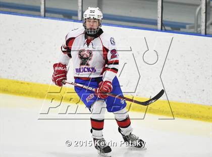 Thumbnail 1 in Rockville/Bolton/Coventry @ Smith/Tolland/Windham photogallery.