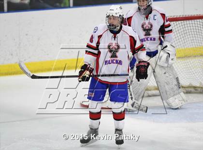 Thumbnail 1 in Rockville/Bolton/Coventry @ Smith/Tolland/Windham photogallery.