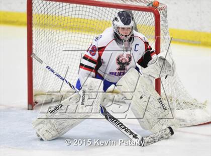 Thumbnail 3 in Rockville/Bolton/Coventry @ Smith/Tolland/Windham photogallery.