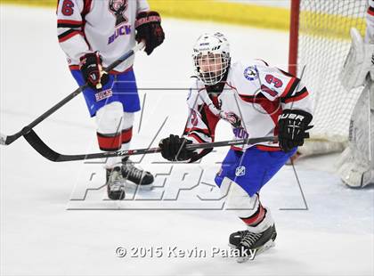 Thumbnail 2 in Rockville/Bolton/Coventry @ Smith/Tolland/Windham photogallery.