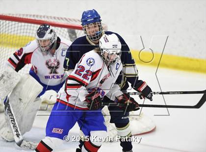 Thumbnail 3 in Rockville/Bolton/Coventry @ Smith/Tolland/Windham photogallery.