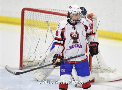 Thumbnail 3 in Rockville/Bolton/Coventry @ Smith/Tolland/Windham photogallery.