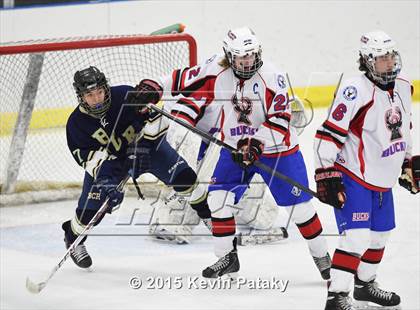 Thumbnail 2 in Rockville/Bolton/Coventry @ Smith/Tolland/Windham photogallery.