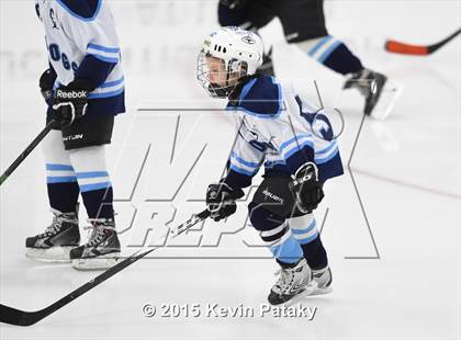 Thumbnail 2 in Rockville/Bolton/Coventry @ Smith/Tolland/Windham photogallery.