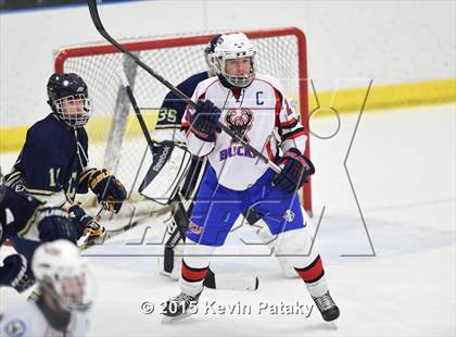 Thumbnail 3 in Rockville/Bolton/Coventry @ Smith/Tolland/Windham photogallery.
