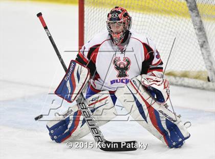 Thumbnail 1 in Rockville/Bolton/Coventry @ Smith/Tolland/Windham photogallery.