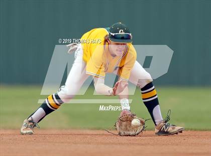 Thumbnail 3 in Airline @ Captain Shreve photogallery.