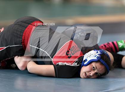 Thumbnail 2 in Alpha Female Tournament photogallery.