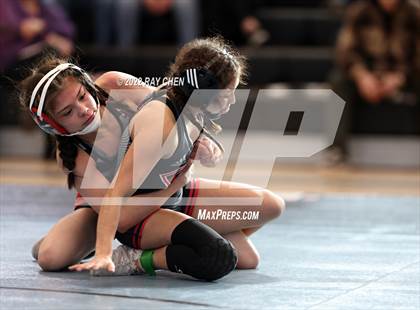 Thumbnail 2 in Alpha Female Tournament photogallery.