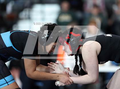 Thumbnail 3 in Alpha Female Tournament photogallery.