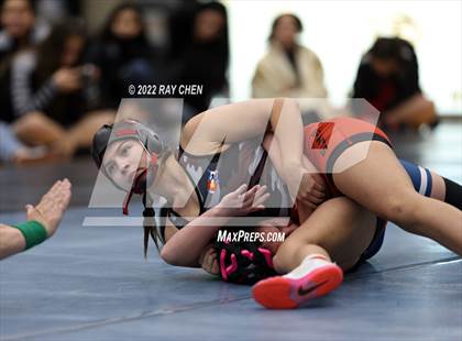 Thumbnail 3 in Alpha Female Tournament photogallery.