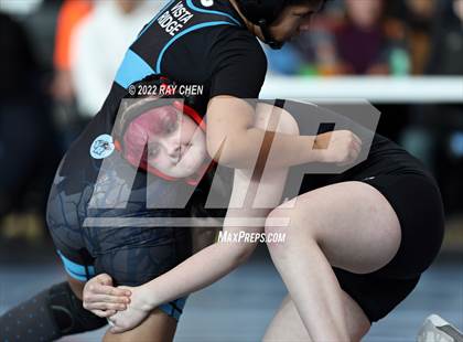 Thumbnail 1 in Alpha Female Tournament photogallery.