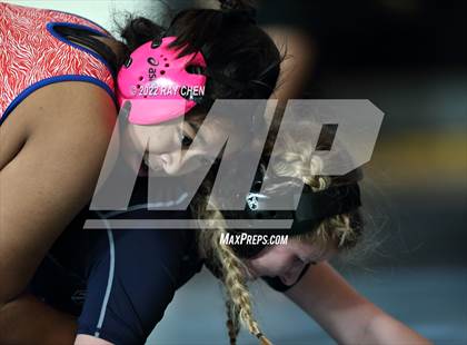 Thumbnail 3 in Alpha Female Tournament photogallery.