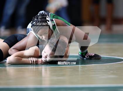Thumbnail 2 in Alpha Female Tournament photogallery.