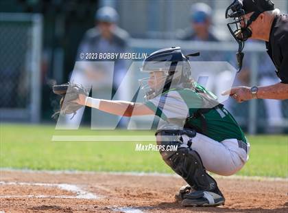 Thumbnail 2 in Hoover @ Torres photogallery.