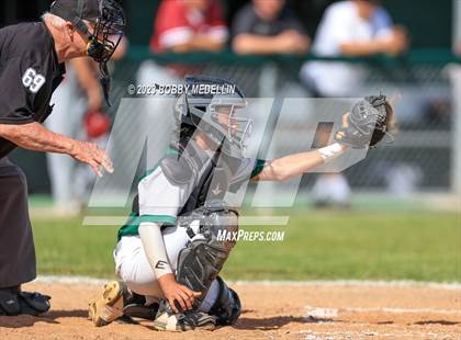 Thumbnail 3 in Hoover @ Torres photogallery.