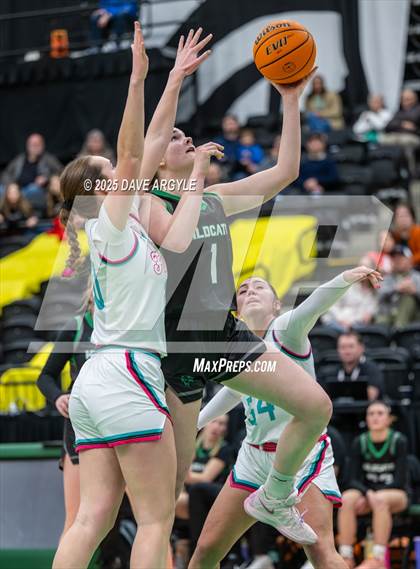 Thumbnail 3 in South Summit vs Canyon View (UHSAA 3A Semifinal) photogallery.