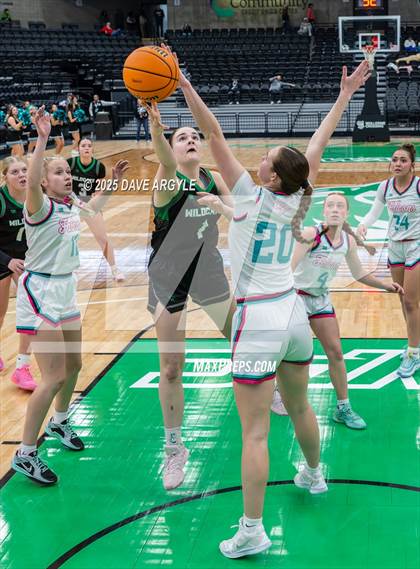 Thumbnail 1 in South Summit vs Canyon View (UHSAA 3A Semifinal) photogallery.