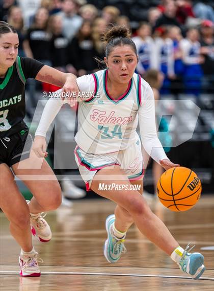Thumbnail 3 in South Summit vs Canyon View (UHSAA 3A Semifinal) photogallery.