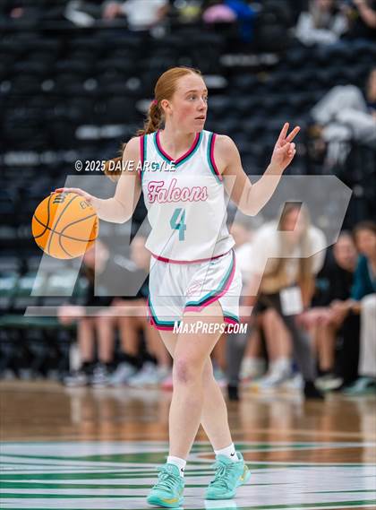 Thumbnail 1 in South Summit vs Canyon View (UHSAA 3A Semifinal) photogallery.