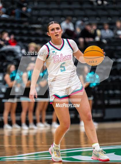 Thumbnail 1 in South Summit vs Canyon View (UHSAA 3A Semifinal) photogallery.