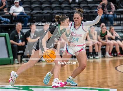 Thumbnail 3 in South Summit vs Canyon View (UHSAA 3A Semifinal) photogallery.