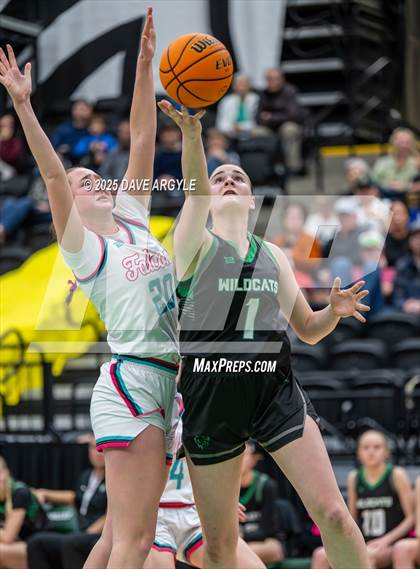 Thumbnail 3 in South Summit vs Canyon View (UHSAA 3A Semifinal) photogallery.