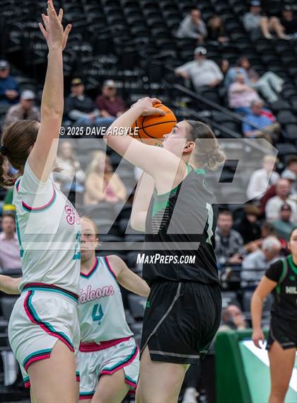 Thumbnail 3 in South Summit vs Canyon View (UHSAA 3A Semifinal) photogallery.