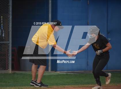 Thumbnail 1 in Klein Oak vs Klein photogallery.