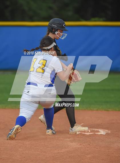 Thumbnail 1 in Klein Oak vs Klein photogallery.