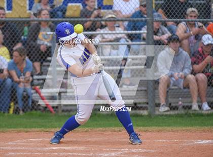 Thumbnail 2 in Klein Oak vs Klein photogallery.