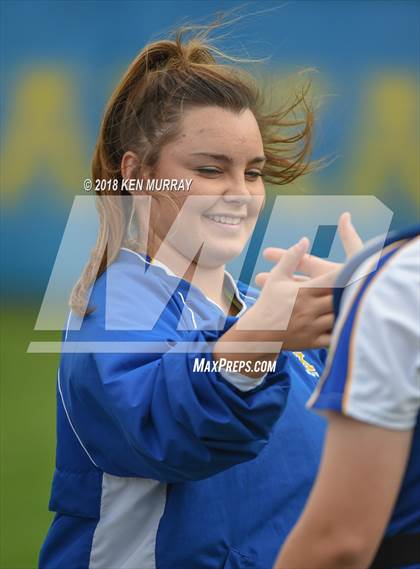 Thumbnail 2 in Klein Oak vs Klein photogallery.