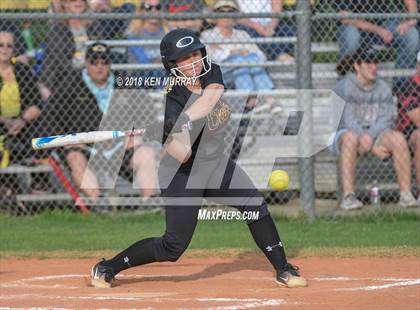 Thumbnail 3 in Klein Oak vs Klein photogallery.