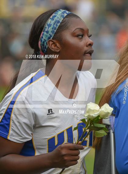 Thumbnail 1 in Klein Oak vs Klein photogallery.