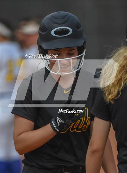 Thumbnail 2 in Klein Oak vs Klein photogallery.
