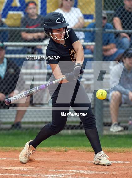 Thumbnail 3 in Klein Oak vs Klein photogallery.
