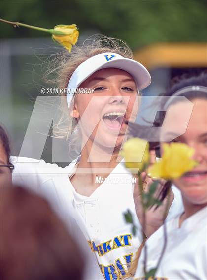 Thumbnail 1 in Klein Oak vs Klein photogallery.