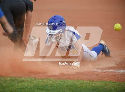 Thumbnail 2 in Klein Oak vs Klein photogallery.