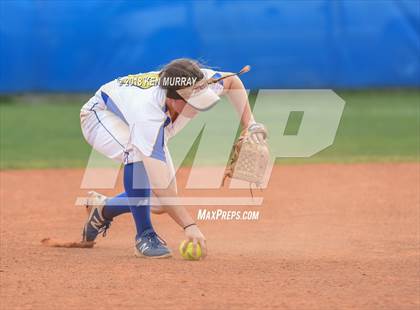 Thumbnail 2 in Klein Oak vs Klein photogallery.