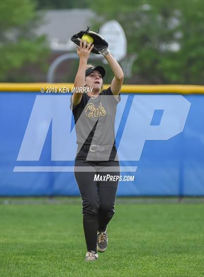 Thumbnail 2 in Klein Oak vs Klein photogallery.