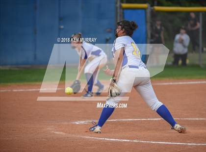 Thumbnail 1 in Klein Oak vs Klein photogallery.