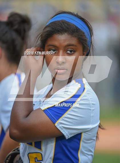 Thumbnail 1 in Klein Oak vs Klein photogallery.