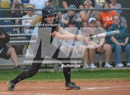 Thumbnail 3 in Klein Oak vs Klein photogallery.