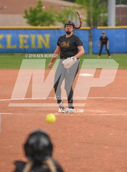 Thumbnail 3 in Klein Oak vs Klein photogallery.