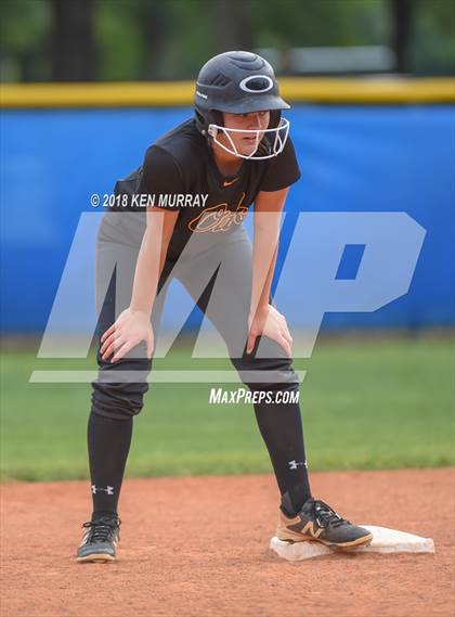 Thumbnail 2 in Klein Oak vs Klein photogallery.